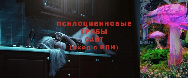 гашик Богородицк