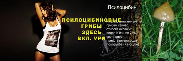 синтетический гашиш Бронницы