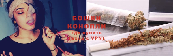 ГАЛЛЮЦИНОГЕННЫЕ ГРИБЫ Богданович
