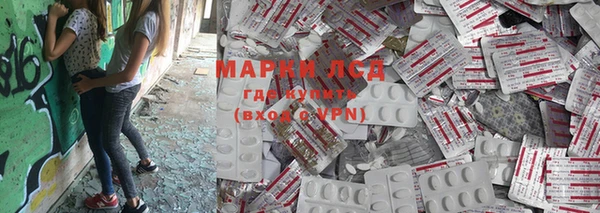 ГАЛЛЮЦИНОГЕННЫЕ ГРИБЫ Богданович