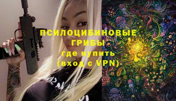 ГАЛЛЮЦИНОГЕННЫЕ ГРИБЫ Богданович