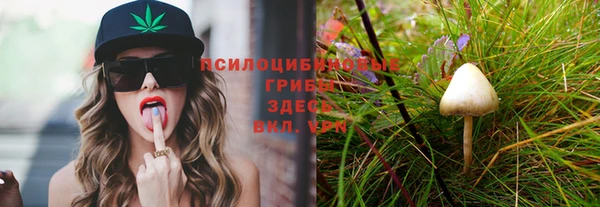 синтетический гашиш Бронницы