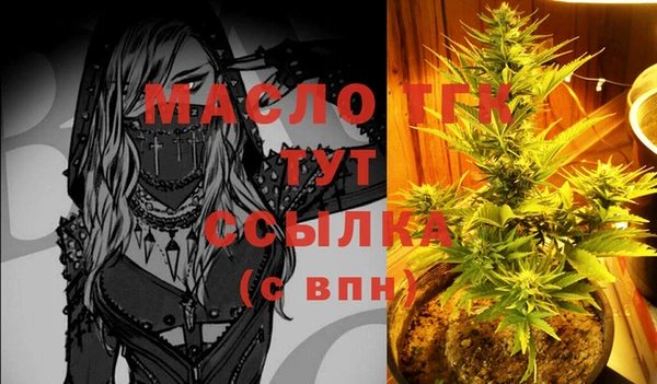 ГАЛЛЮЦИНОГЕННЫЕ ГРИБЫ Богданович