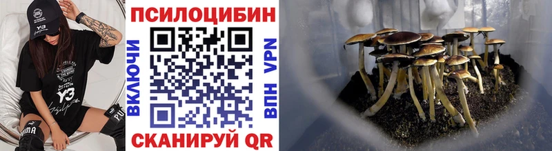 Галлюциногенные грибы Psilocybe  Черняховск 